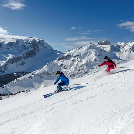 Appartement Appartementhaus Studa 29 *