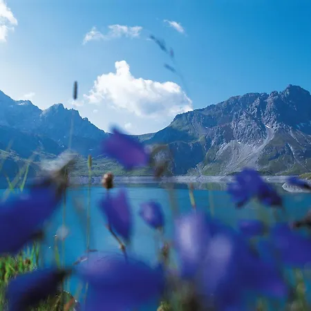 Appartementhaus Studa 29 Appartement *